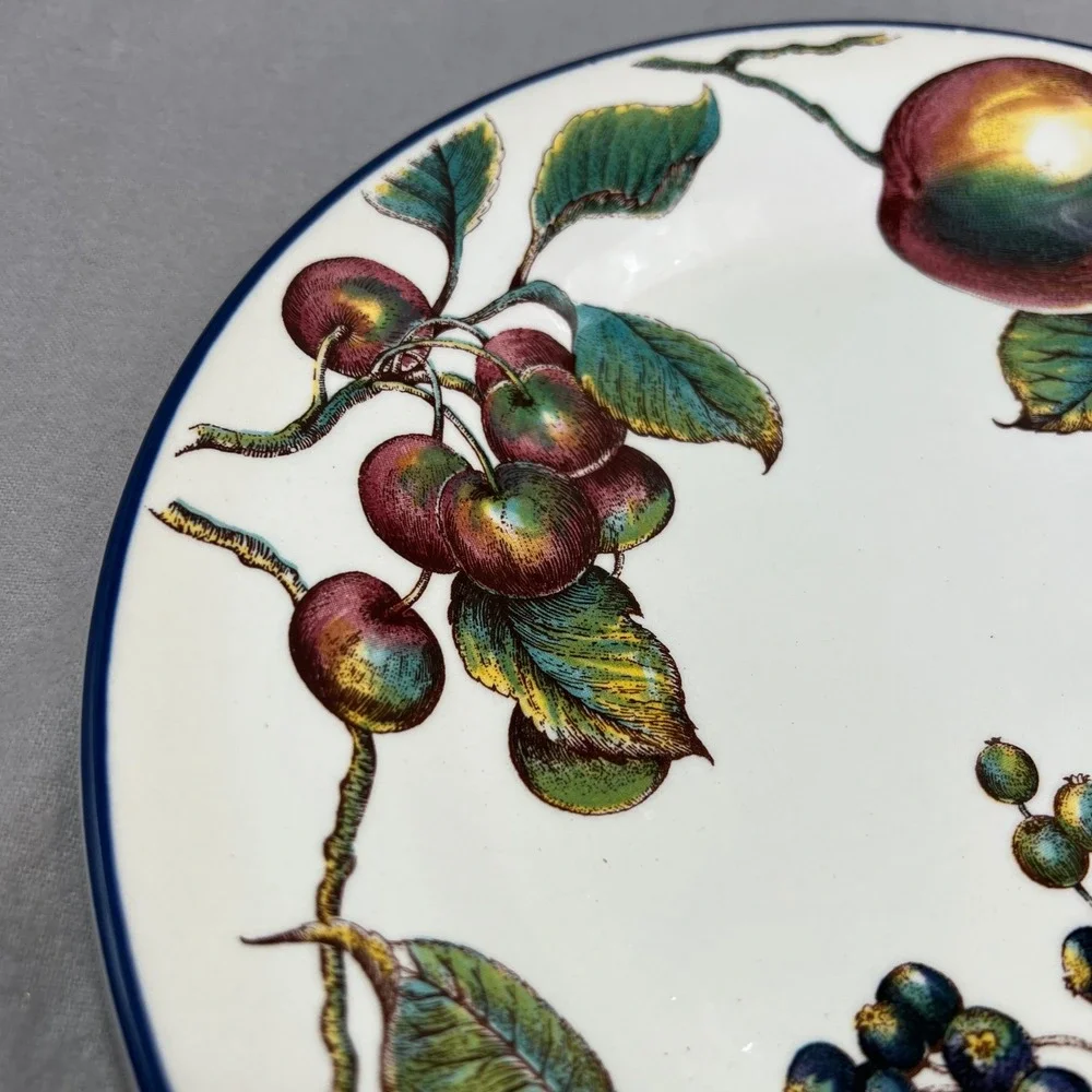Pier 1 Macintosh Dinner Plates Set of 2 White Fruit Harvest Cottagecore 10.25in